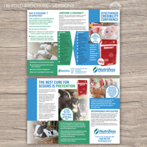 Diseño de Brochure por Katyas Art and Design para este proyecto | Diseño: #13779186