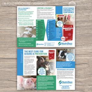  Dynamic and Effective Disease Control | Diseño de Brochure por Katyas Art and Design