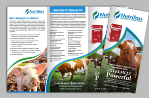 Diseño de Brochure por debdesign para este proyecto | Diseño: #13736219