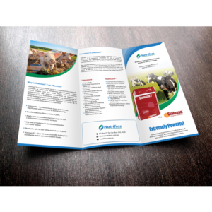 Diseño de Brochure por debdesign para este proyecto | Diseño: #13736224