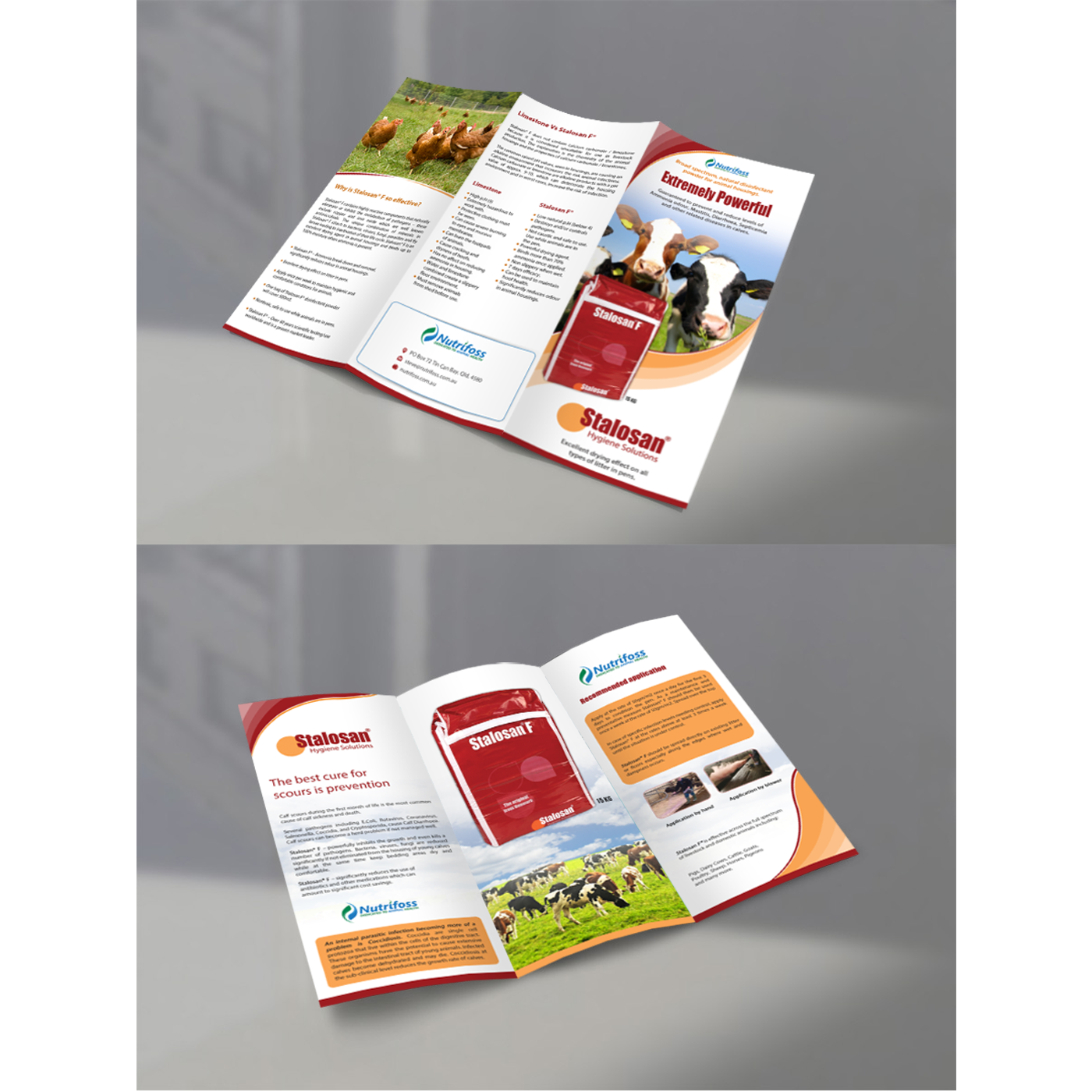 Brochure Design by debdesign for this project | Design #13746184