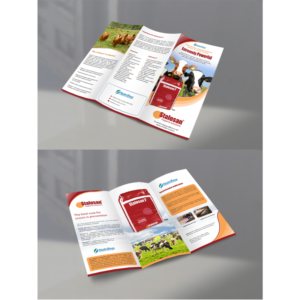 Diseño de Brochure por debdesign para este proyecto | Diseño: #13746184