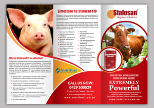 Diseño de Brochure por debdesign para este proyecto | Diseño: #13751461