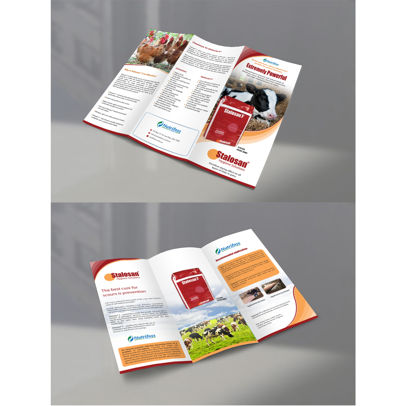 Diseño de Brochure por debdesign para este proyecto | Diseño #13790821