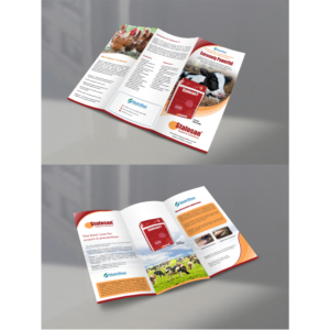 Diseño de Brochure por debdesign para este proyecto | Diseño: #13790821