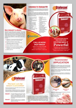 Diseño de Brochure por debdesign para este proyecto | Diseño: #13804548
