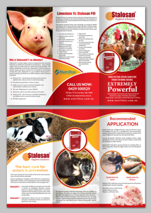 Diseño de Brochure por debdesign para este proyecto | Diseño: #13804550