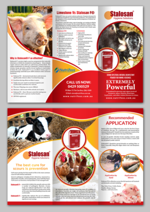 Diseño de Brochure por debdesign para este proyecto | Diseño: #13805488