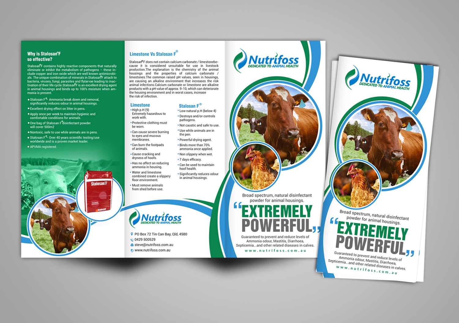 Brochure Design by creative.bugs for this project | Design #13735764