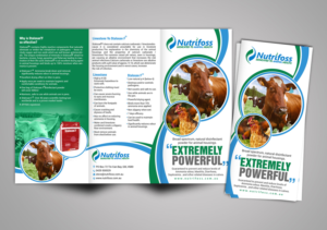 Diseño de Brochure por creative.bugs para este proyecto | Diseño: #13735764