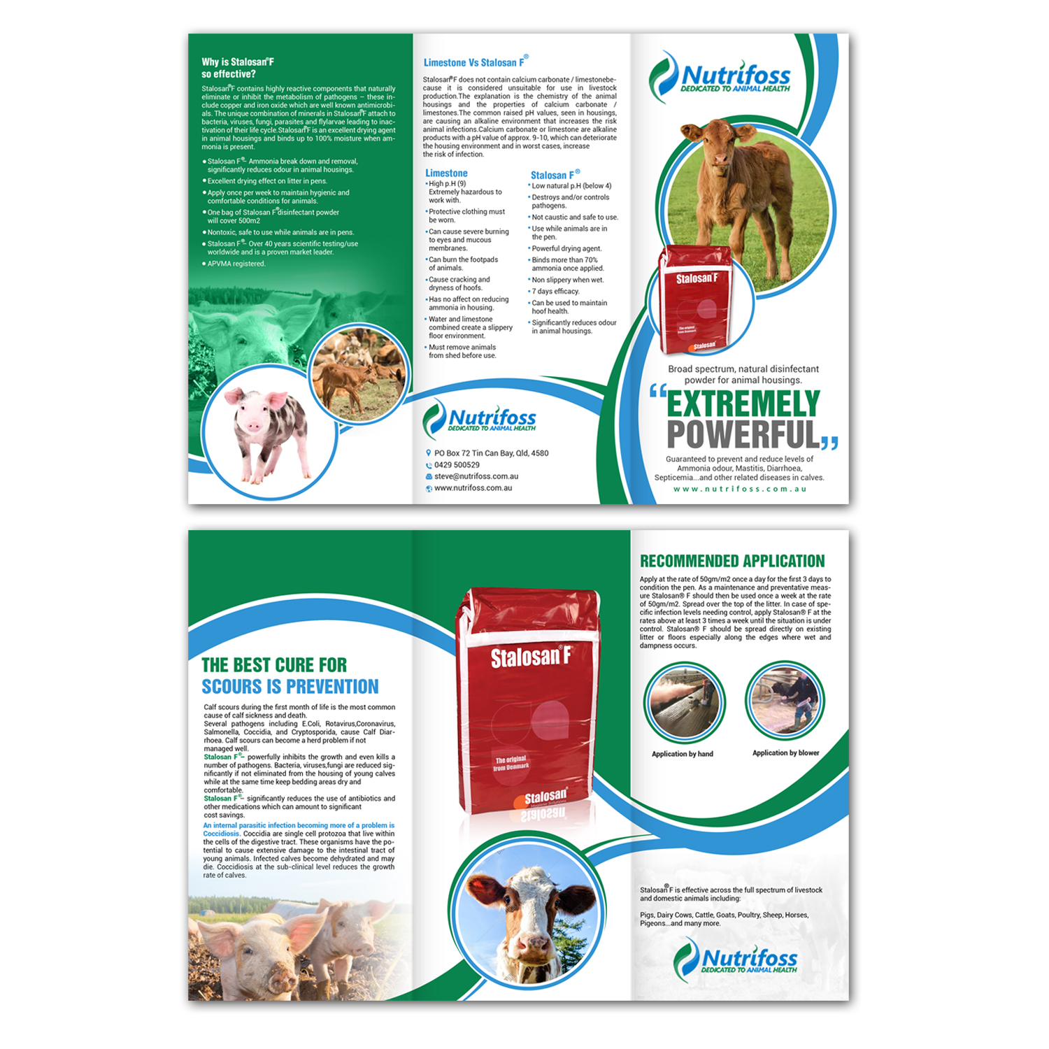 Brochure Design by creative.bugs for this project | Design #13745853