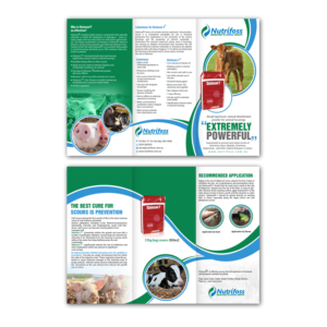 Diseño de Brochure por creative.bugs para este proyecto | Diseño: #13758397