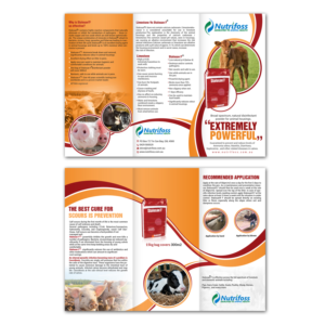 Diseño de Brochure por creative.bugs para este proyecto | Diseño: #13806660