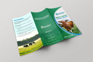 Diseño de Brochure por ecorokerz para este proyecto | Diseño: #13730593