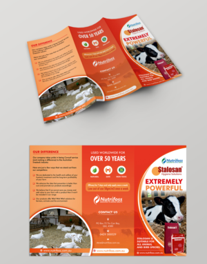Diseño de Brochure por ecorokerz para este proyecto | Diseño: #13759429