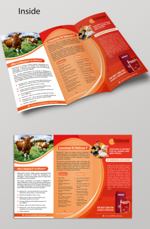 Diseño de Brochure por ecorokerz para este proyecto | Diseño: #13806183