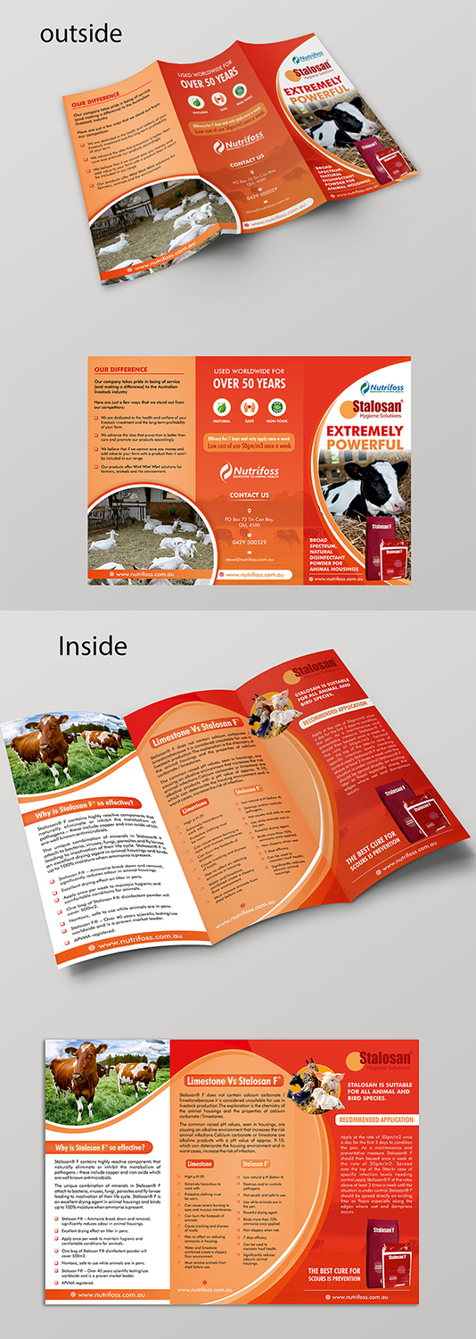 Diseño de Brochure por ecorokerz para este proyecto | Diseño: #13840287