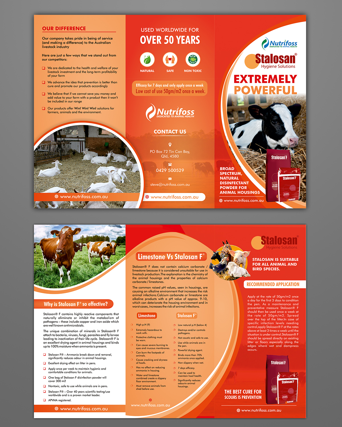 Diseño de Brochure por ecorokerz para este proyecto | Diseño #13971493