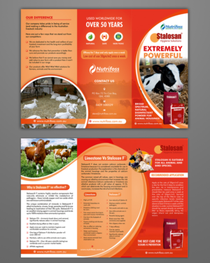 Diseño de Brochure por ecorokerz para este proyecto | Diseño: #13971493