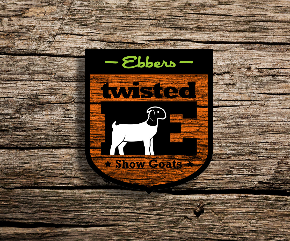 Logo Design by El Ojo creativo for this project | Design #13821106