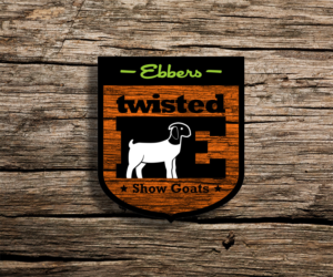 Logo Design by El Ojo creativo for this project | Design: #13821106
