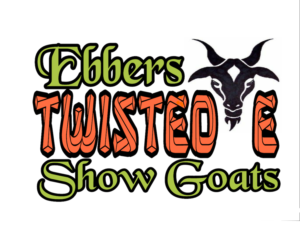 Logo Design by April perry