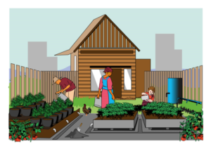 Illustration Design by dv