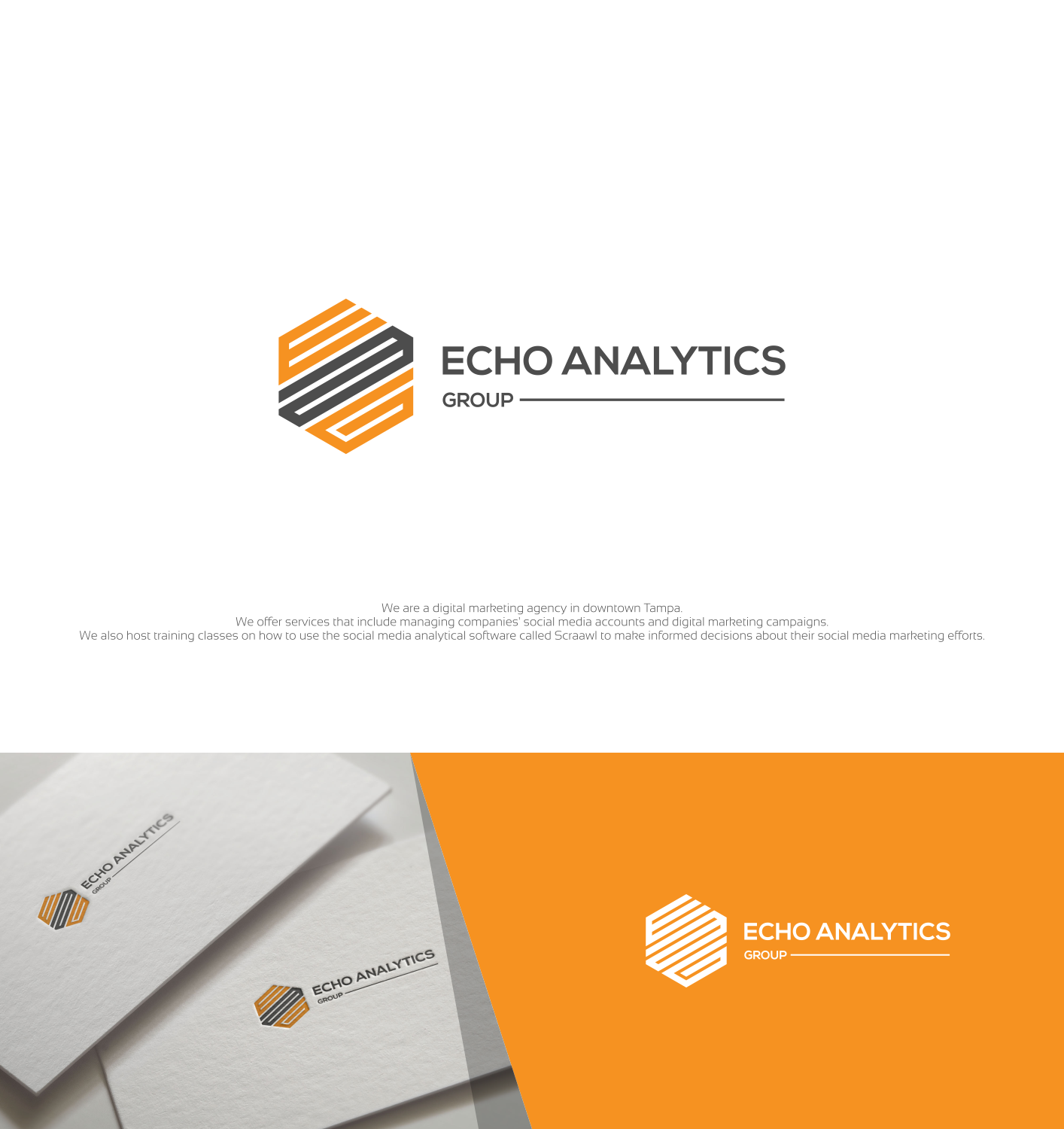 Logo Design by Optimistic_Studio for Echo Analytics Group | Design #13729019