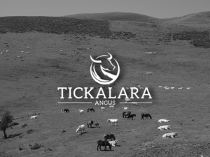 Tickalara Angus  | Logo Design by GBDESIGN