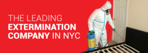 Banner Ad Design by Designer 137620