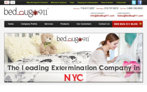 Banner Ad Design by AditiArts