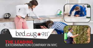 Banner Ad Design by Impressive Sol