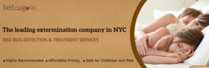 Banner Ad Design by avde17sharif