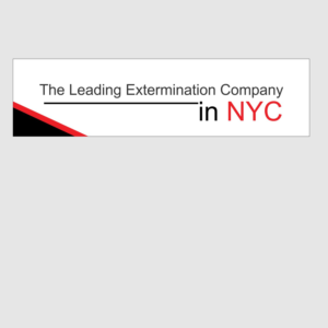 Banner Ad Design by Roro111
