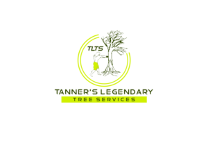 Logo Design by Amduat Design for this project | Design: #13824884