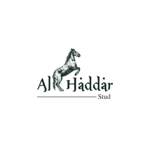 Logo Design by NEX