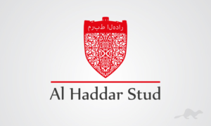 Design de Logo par stealth_ferret pour ce projet | Design : #14932660