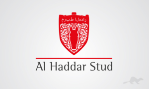 Logo-Design von stealth_ferret für dieses Projekt | Design: #14945188