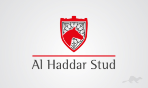 Logo-Design von stealth_ferret für dieses Projekt | Design: #15000464