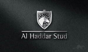 Logo Design by stealth_ferret