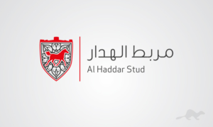 Design de Logo par stealth_ferret pour ce projet | Design : #15131900