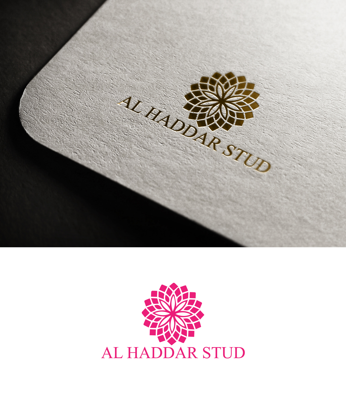 Diseño de Logo por supercreative para este proyecto | Diseño #14943294