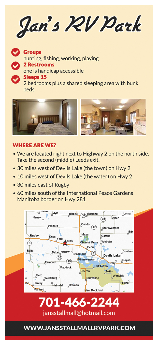 Flyer Design by VEGA-Designs for Engstrom Online Sales | Design #13764126