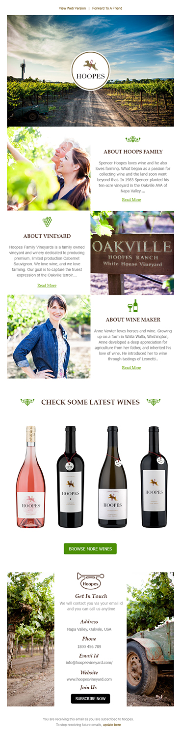 Newsletter Design by Expert Designer for Hoopes Vineyard  | Design #14239650
