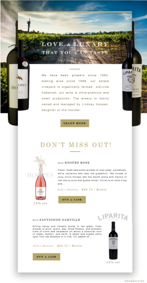 Newsletter Design by akhil D. miller