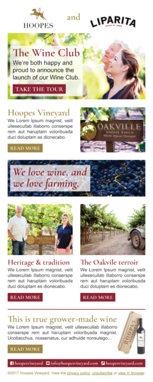 Newsletter Design by Ekanite for Hoopes Vineyard  | Design: #14149006
