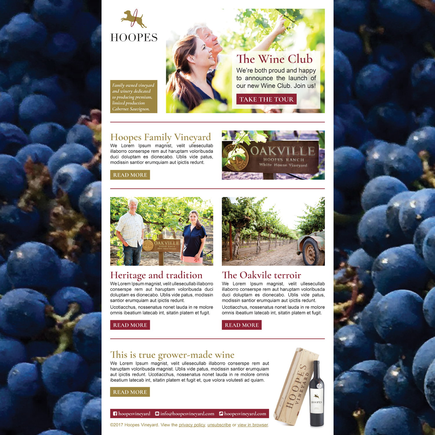 Design de Newsletter par Ekanite pour Hoopes Vineyard  | Design #14161539