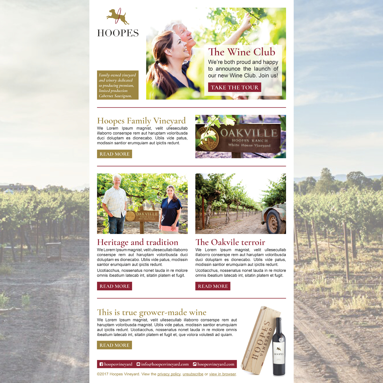 Newsletter Design by Ekanite for Hoopes Vineyard  | Design #14161541