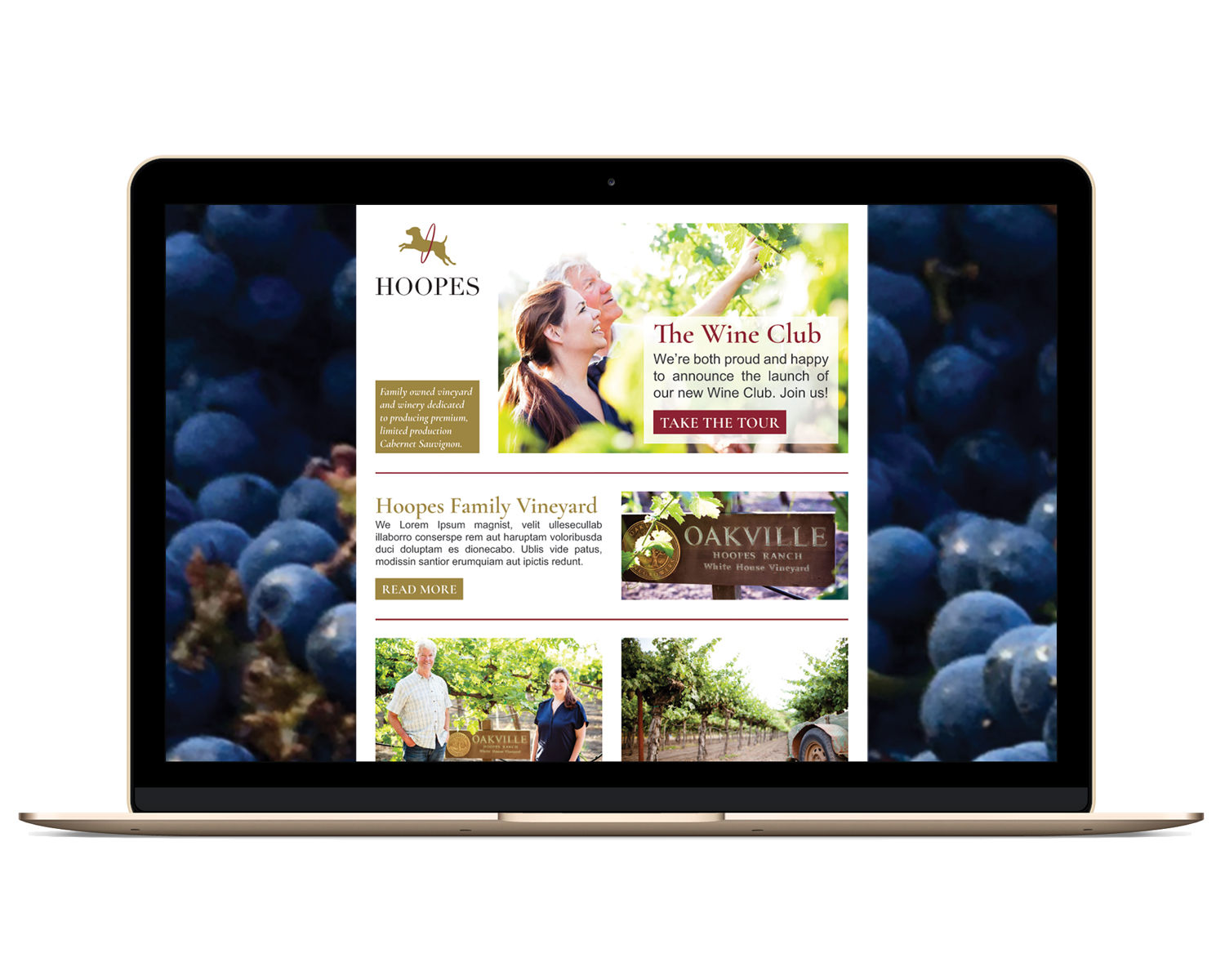 Newsletter-Design von Ekanite für Hoopes Vineyard  | Design #14161543