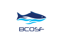Logo Design by Max Media
